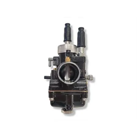 02696 Carburatore Phbg 21 ds