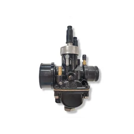 02696 Carburatore Phbg 21 ds