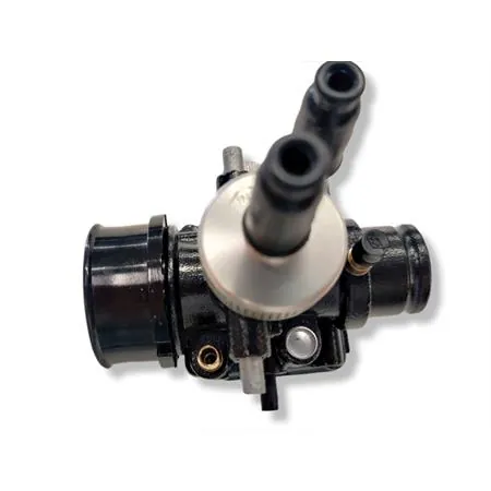 02696 Carburatore Phbg 21 ds