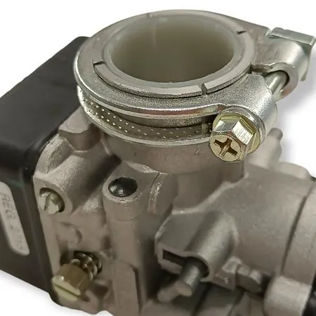 Carburatore Dell'Orto phbl 24 as, ricambio 02715