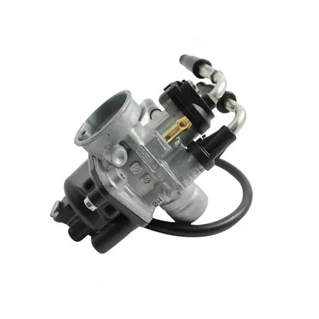 03046 Carburatore PHBN 12 hs (Dell'Orto)