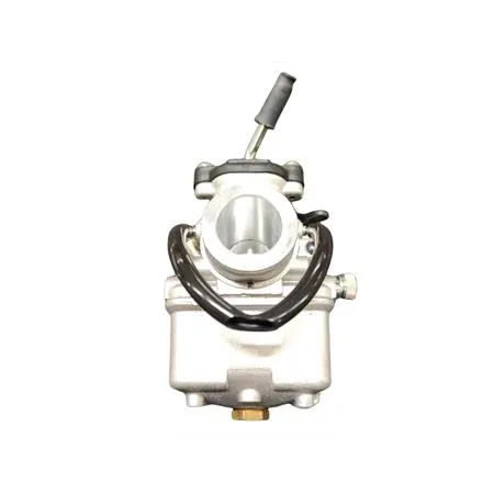 Carburatore dell'orto Vhst 24 bs, ricambio 09367
