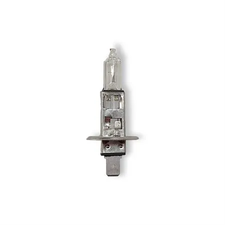 1987302011 Lampadina Dell'Orto H1 pure light