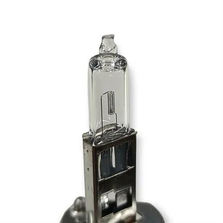 1987302011 Lampadina Dell'Orto H1 pure light