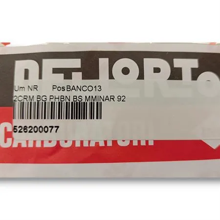 526200077 Guarnizioni