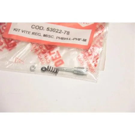 530220078 Kit vite regolazione miscelazione minimo