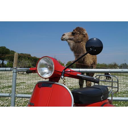 Retr. sx  vespa-calotta carbon/asta nera, ricambio 1025CA