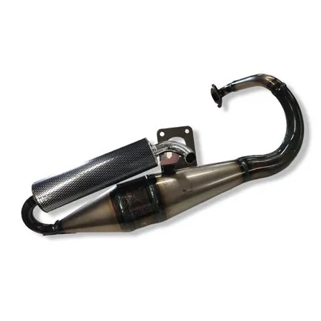 31113S Marmitta scooter sport 6 Peugeot Buxy (Giannelli)