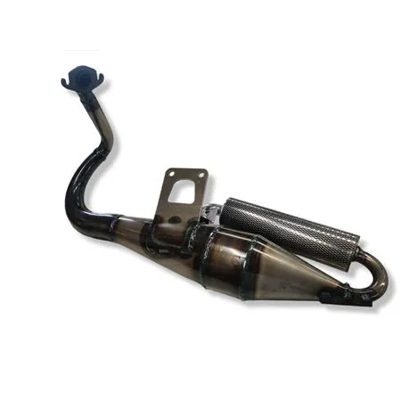 31113S Marmitta scooter sport 6 Peugeot Buxy (Giannelli)