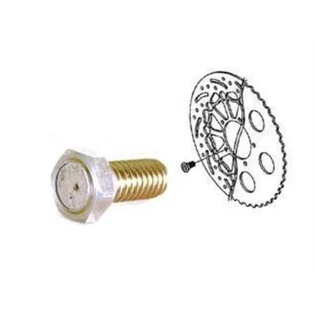 Vite magnetica per disco freno m8x1.25x29m (Koso), ricambio KOBF010800