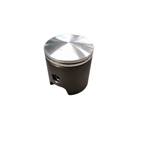 PTK201 Pistone Malossi ghisa diametro 47.00 minar bif (Asso)