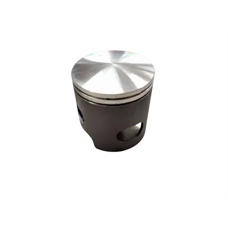 PTK6921 Pistone Malossi ghisa diametro 47.00 piagg. bif (Asso)
