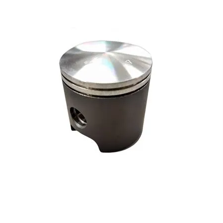 PTK6921 Pistone Malossi ghisa diametro 47.00 piagg. bif (Asso)