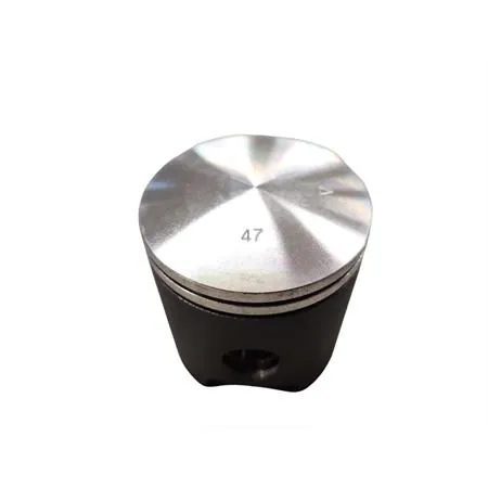 PTK6921 Pistone Malossi ghisa diametro 47.00 piagg. bif (Asso)