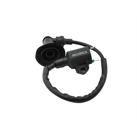 Bobina accensione completa di cavo e pipetta per Malaguti F12R aria con motore cinese, ricambio 02413600