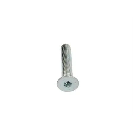Ricambio vite per disco freno, vedi 18428700 (Malaguti), ricambio 11943100