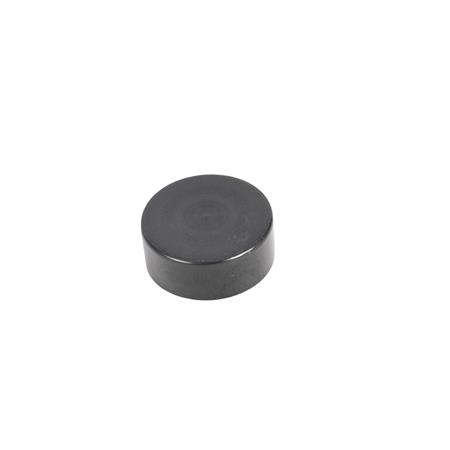 Pistoncino a cilindretto per pinza freno posteriore e anteriore con diametro 32 mm e distribuita dalla Malaguti, ricambio 11968000