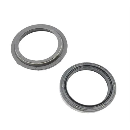 12049500 Kit paraolio e para polvere singolo per forcella anteriore Paioli maxi scooter Malaguti Spider Max 500 tutte le versioni (Malaguti)
