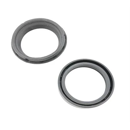 12049500 Kit paraolio e para polvere singolo per forcella anteriore Paioli maxi scooter Malaguti Spider Max 500 tutte le versioni (Malaguti)