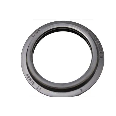 12049500 Kit paraolio e para polvere singolo per forcella anteriore Paioli maxi scooter Malaguti Spider Max 500 tutte le versioni (Malaguti)
