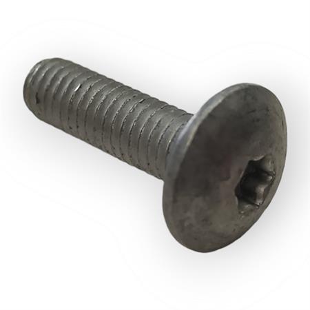 Vite testa bombata larga impronta Torx T25 6 x 20 (Malaguti), ricambio 18435700