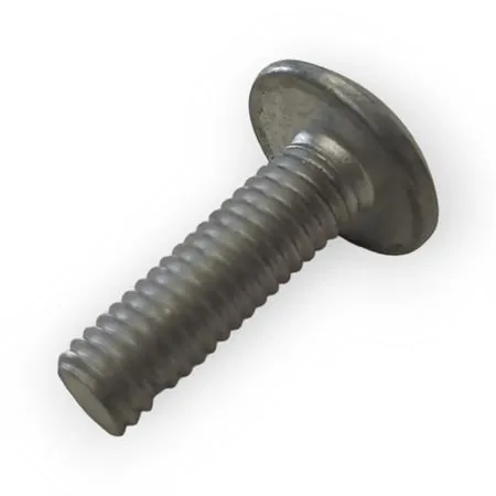 18435700 Vite testa bombata larga impronta Torx T25 6 x 20 (Malaguti)