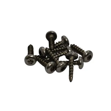 18439000 Vite truciolare testa cilindrica impronta Torx T25 in acciaio inox 5 x 20 (Malaguti)