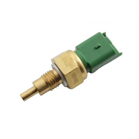 45606200 Sonda temperatura acqua 492