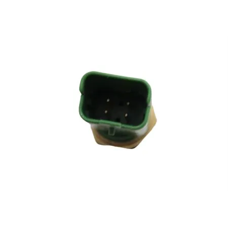 45606200 Sonda temperatura acqua 492