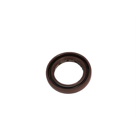 Paraolio 19,8x30x5, ricambio 55303700