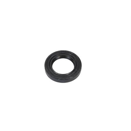 Anello tenuta 17x27x5 per rid. (Malaguti), ricambio 60119100