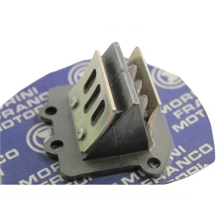 Valvola pacco lamellare g30-g304 (Malaguti), ricambio 62009300