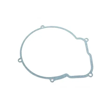 Guarnizione coperchio coprivolano per motori serie am6, ricambio 75318600