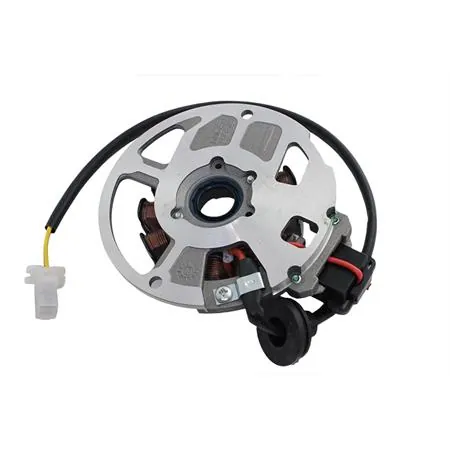 78202100 Statore originale Ducati energia a 12 poli per scooter Malaguti F12 e F15 euro 2 e euro2/3 prodotti dal 2002 in poi
