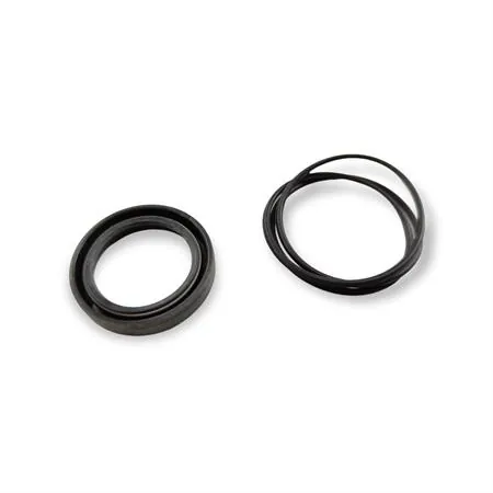 08856 Serie paraolio motore e carburatore 125 (Mentasti Ariete)