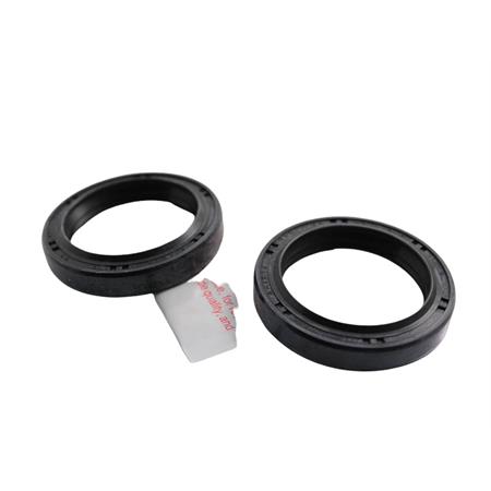 Paraolio tcl 36 per 48 per 8-9.5 (Mentasti Ariete), ricambio ARI046