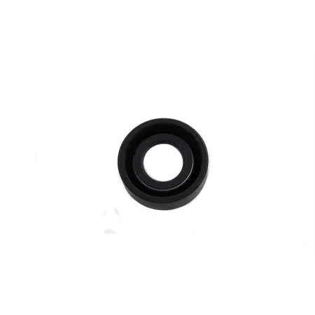 Paraolio SC 30 x 15 x 10 (Mentasti Ariete), ricambio P067