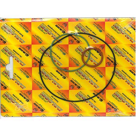 Busta o-ring 40-47.6 per gruppo termico Malossi, ricambio 1111736