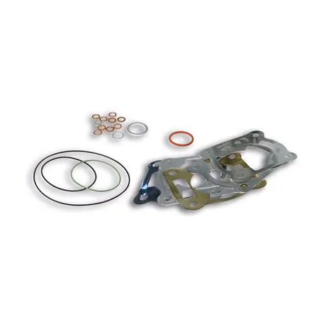 Guarnizioni smeriglio kit per gruppo termico Malossi flanged mount con diametro 47,6 70 cc e 52 mm 94 cc con basi multispessore, ricambio 1116078B