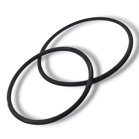 Guarnizioni OR per raccordo scarico, ricambio 1116137