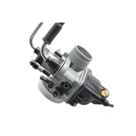 1611026 Impianto alimentazione phvb22 Malossi