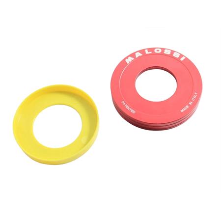 Torsion controller guida molla variatore Malossi, ricambio 2514227