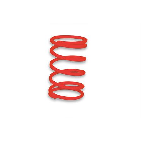 Molla di contrasto Malossi per Yamaha T-MAX 500, ricambio 2914023R0