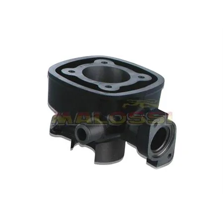 Motore gruppo termico 47 mm ghisa spinotto 12 mm acqua acqua Malossi