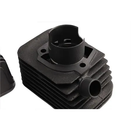 315117 Motore gruppo termico diametro 43 ghisa spinotto 12 mm base+cvf Malossi