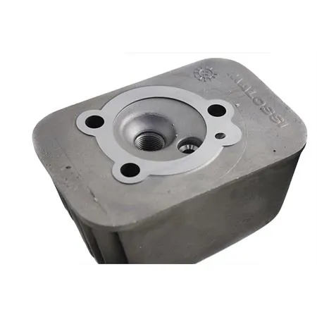 315117 Motore gruppo termico diametro 43 ghisa spinotto 12 mm base+cvf Malossi