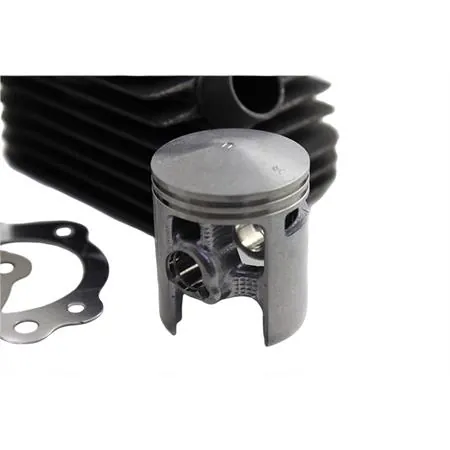 315117 Motore gruppo termico diametro 43 ghisa spinotto 12 mm base+cvf Malossi