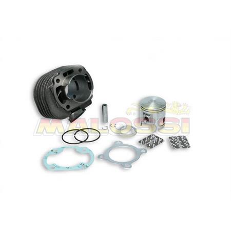 Motore gruppo termico 47 mm ghisa spinotto 10 mm Malossi, ricambio 317002