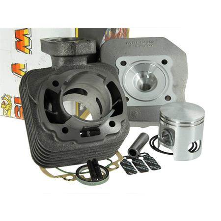 Motore gruppo termico diametro 47 ghisa spinotto 12 mm Peugeot scooter Malossi, ricambio 317133
