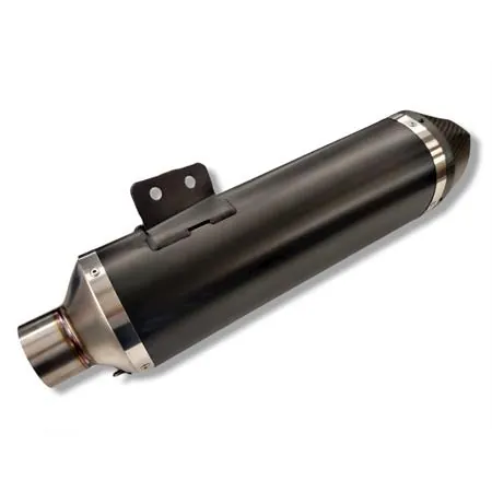 Silenziatore Malossi Maxi Wild Lion black con fondello in carbonio e per utilizzo collettori originali maxi scooter Kymco AK 550 euro 5 prodotti dal 2021 in poi (SBA1), ricambio 3217934